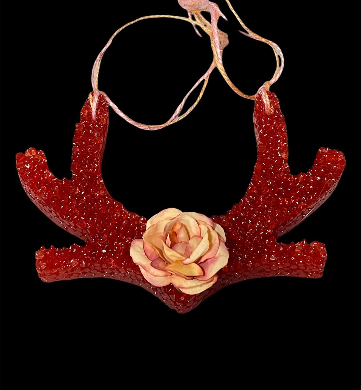 ANTLERS FRESHIE