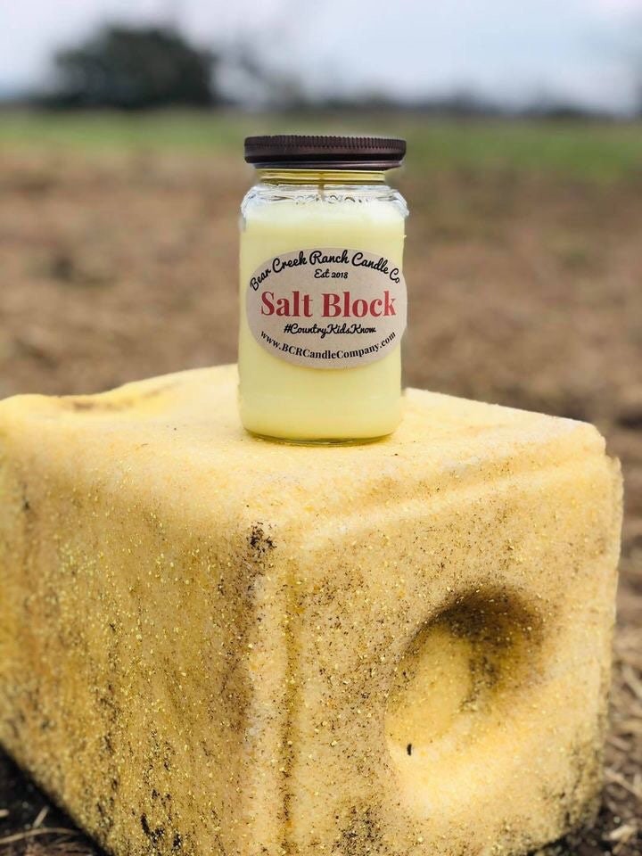 SALT BLOCK