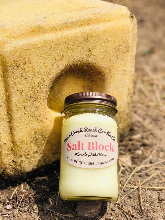 SALT BLOCK